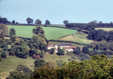 Linnington Cottage, Wambrook