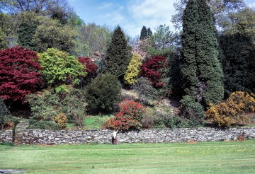 Betty and Mike on Holiday with the Gawthrops in the Lake District