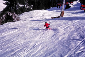 Mike and Betty skiing in Austria