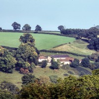 Linnington Cottage, Wambrook