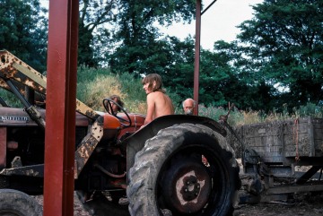 Lodge Farm, Gisslingham. Stephen, Peter and Mike building the pig food store