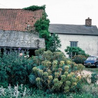 Lodge Farm, Gisslingham