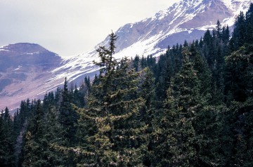 Skiing Verbier