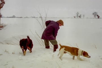 Lodge Farm