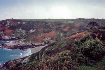 Guernsey