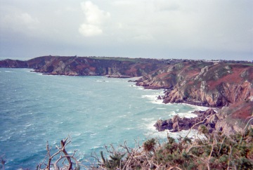 Guernsey