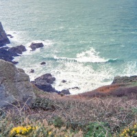 Guernsey