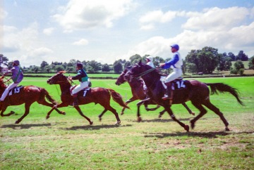 Trotting Races at Lay Clayette