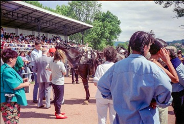 Trotting Races at Lay Clayette