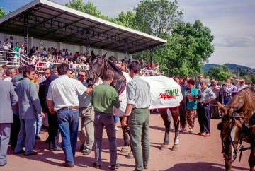 Trotting Races at Lay Clayette