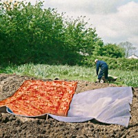 Building the Garden Pond