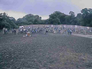 Glastonbury 1998