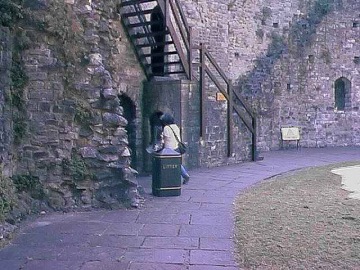 Cardiff Castle