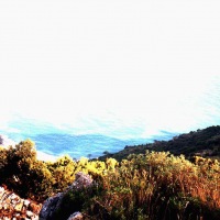 Paragliding in France