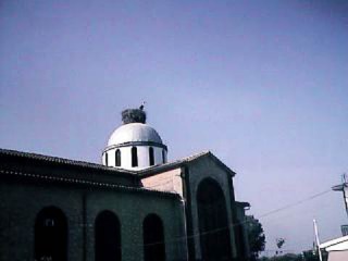 Greece - Stork on Church