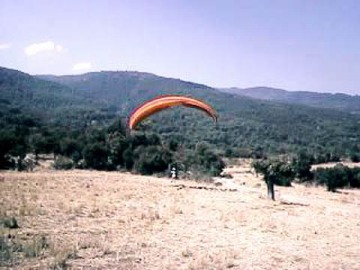 Greece - Olympic Wings