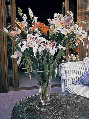 Rosemary Birthday flowers