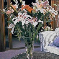Rosemary Birthday flowers