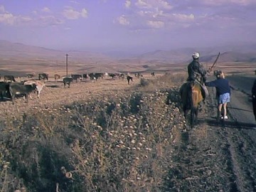 Clare capturing a horse on the way to Lake Sevan