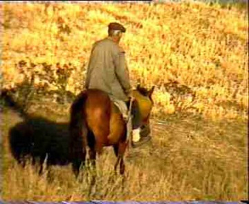 Old boy on horse