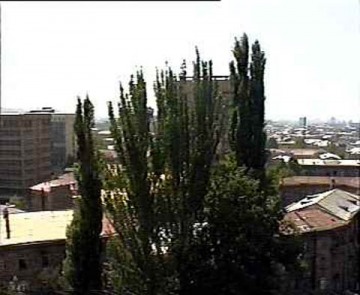 View from the book repository