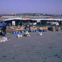 Fruit Market