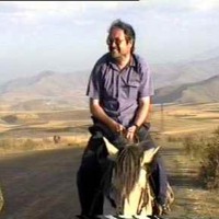 Horse Riding