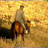 Old boy on horse