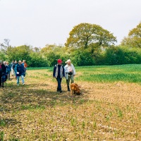 Beating the Grendon Underwood Bounds
