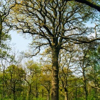 Beating the Grendon Underwood Bounds