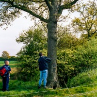 Beating the Grendon Underwood Bounds