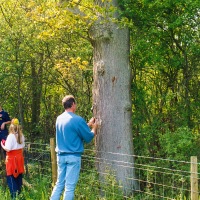 Beating the Grendon Underwood Bounds