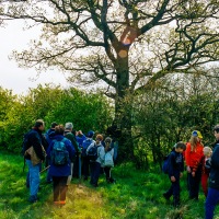 Beating the Grendon Underwood Bounds