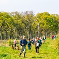 Beating the Grendon Underwood Bounds