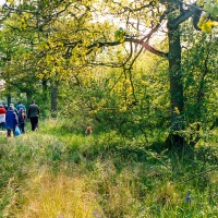 Beating the Grendon Underwood Bounds