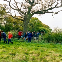 Beating the Grendon Underwood Bounds