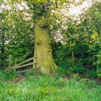 Beating the Grendon Underwood Bounds