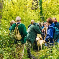 Beating the Grendon Underwood Bounds