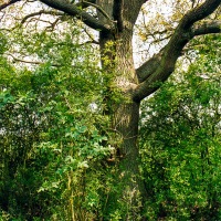 Beating the Grendon Underwood Bounds