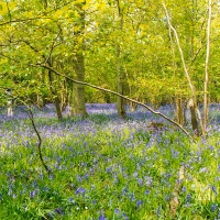 Beating the Grendon Underwood Bounds