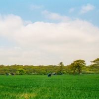 Beating the Grendon Underwood Bounds