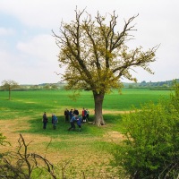 Beating the Grendon Underwood Bounds