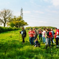 Beating the Grendon Underwood Bounds