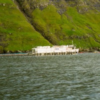 Faroe Islands - Vestmanna cliffs