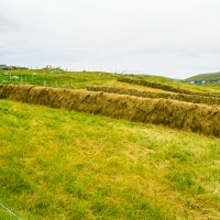 Faroe Islands - Kirkjubøur