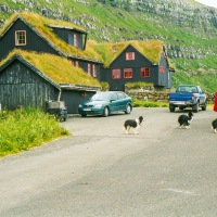 Faroe Islands - Kirkjubøur