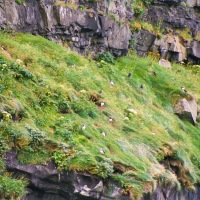 Faroe Islands - Gjógv