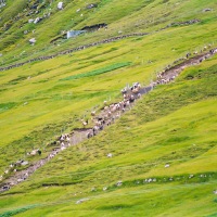 Faroe Islands - Gjógv