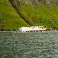 Faroe Islands - Vestmanna cliffs