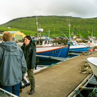 Faroe Islands - Vestmanna cliffs